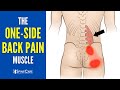 The oneside lower back pain muscle how to release it for instant relief