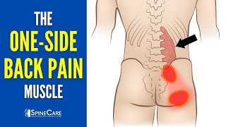 The One-Side Lower Back Pain Muscle How To Release It For Instant Relief