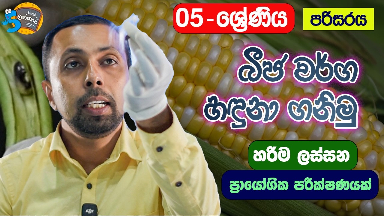 🌿 05 ශ්‍රේණිය පරිසරය - ප්‍රායෝගිකව ඉගෙනගමු  5 Pahe Chakkare | 5 Shreniya Wasara Parisaraya