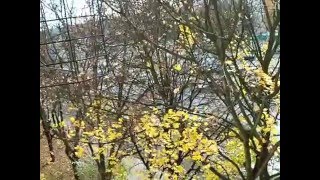 Obraz 005.avi