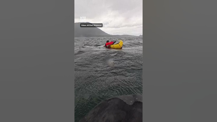 Whale swallows kayaker before releasing him | ABC NEWS