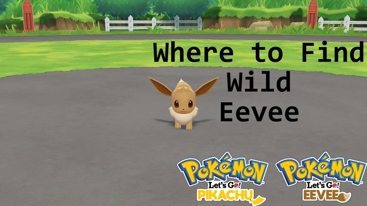 Pokemon Let's Go Pikachu/Eevee - Where to Find Wild Eevee - YouTube