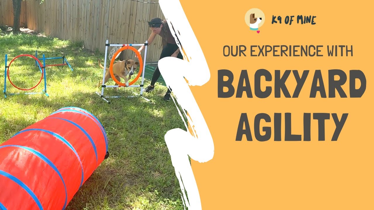 Backyard Agility: At-Home Dog Enrichment! - YouTube