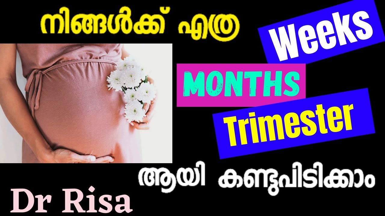 How to Calculate Pregnancy Week,Months & Trimester Malayalam