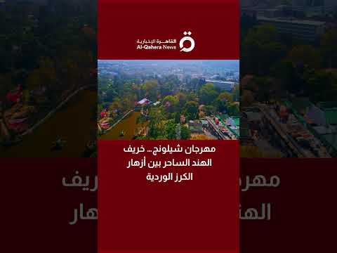 مهرجان شيلونج خريف الهند الساحر بين أزهار الكرز الوردية