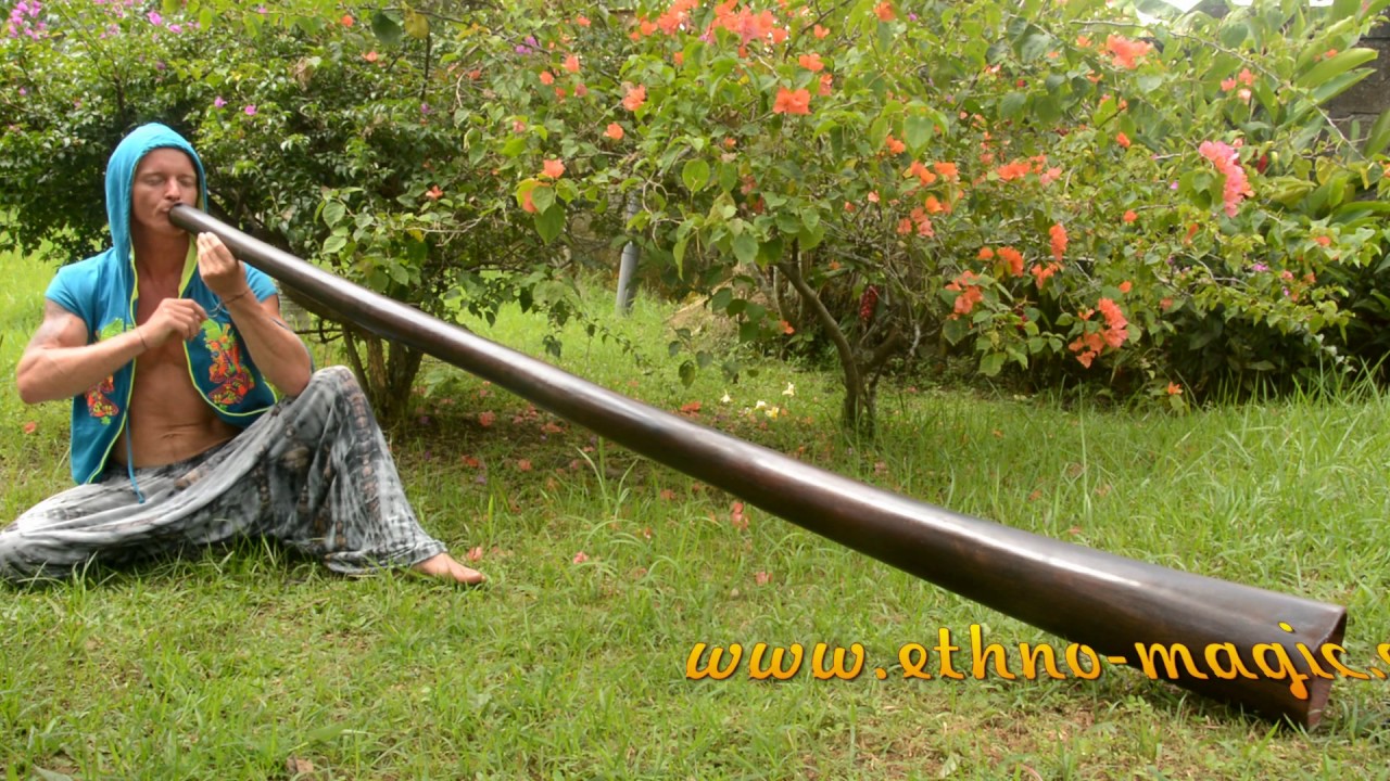 Eucalyptus Didgeridoo for Sale YouTube