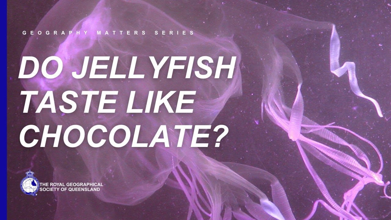 Do Jellyfish taste like Chocolate?