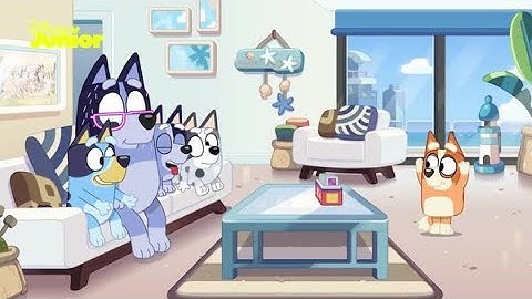 😎 Charades | Bluey | Disney Junior Africa