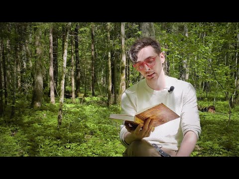 Чаму барсук і лісіца ў норах жывуць | Казкі