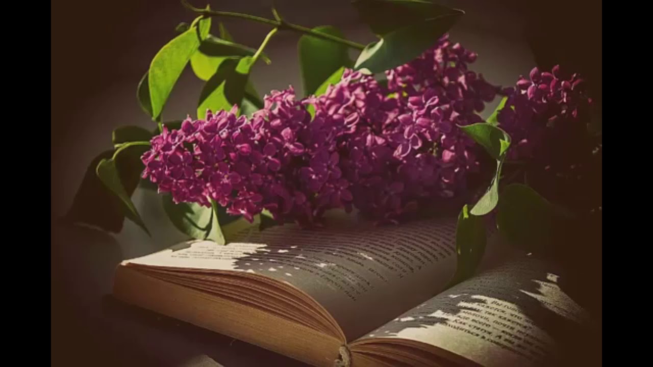 Времена года Май. Пётр Чайковский. - YouTube