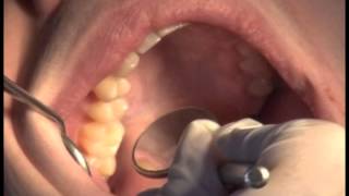 Pemeriksaan Jaringan Lunak DPES screenshot 4