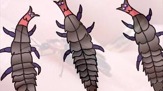 Firefly larva