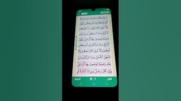 سورة النساء الآية 11-12 سعد الغامدي