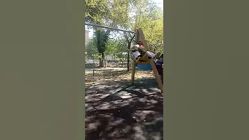 Сары қыз 