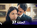 FULL HD Arabic Dubbed سعيد و شورى الحلقة 37 