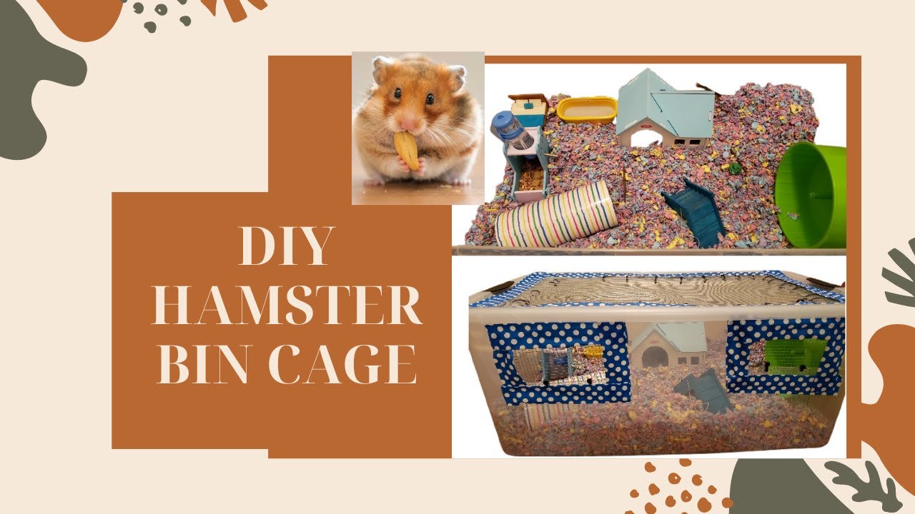 Hamster Bin Cage DIY YouTube