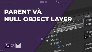 After Effects Tutorials| Parent và Null Object Layer