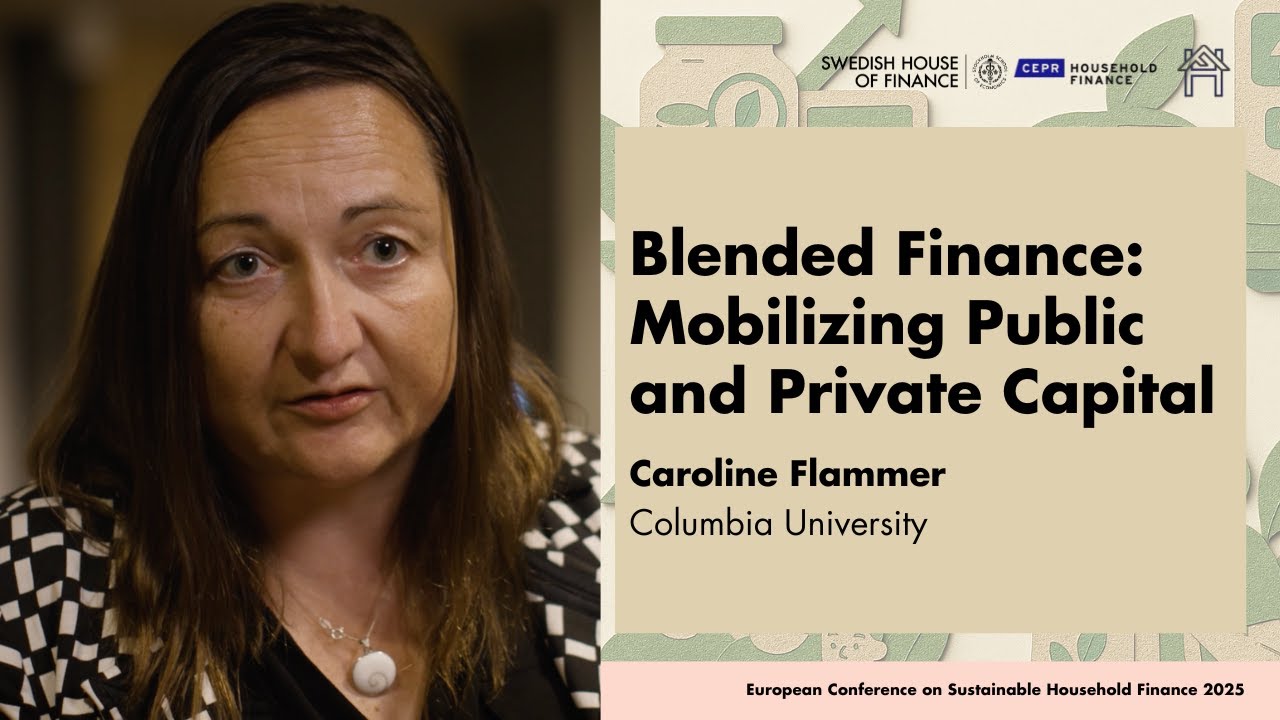 Blended Finance: Mobilizing Public and Private Capital