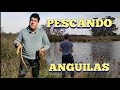 Pescando anguilas en pesca en agua dulce