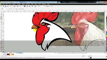 Learn Some Techniques For Making Brand Logo Design in Coreldraw - Ahsan Sabri Techniques