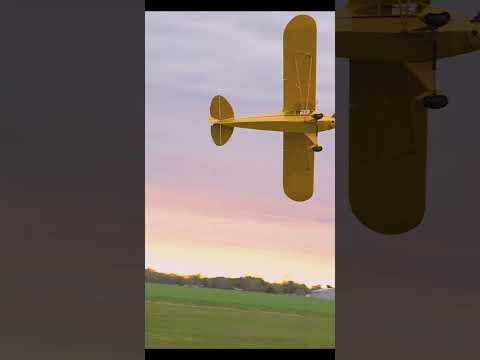 Piper Cub Fly by