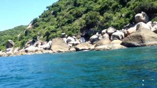 Đảo hòn chảo 1