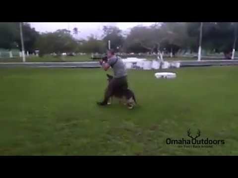 German Shepherd Dog (GSD) and Soldier Dancing to Por Una Cabeza - Omaha Outdoors