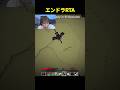 エンドらドーナツエンドラRTA