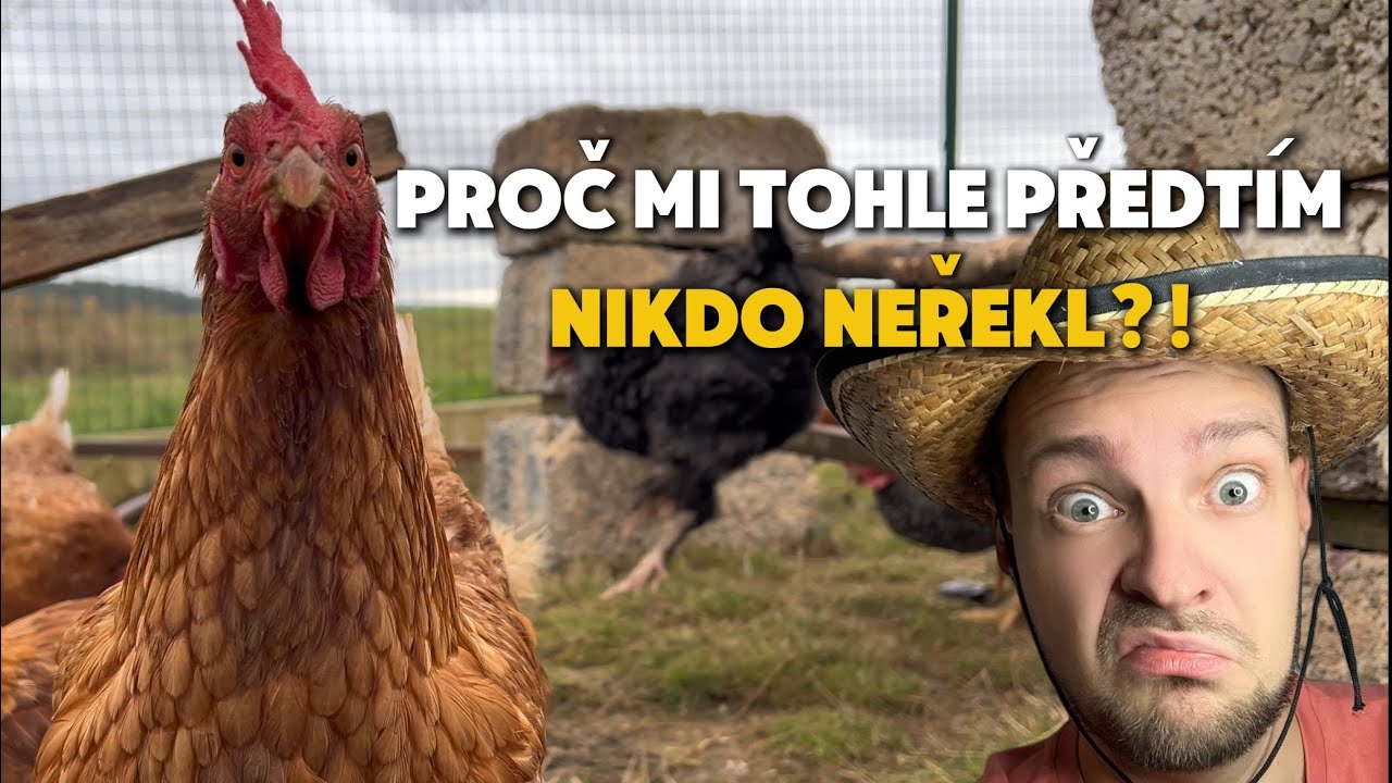 Proč mi tohle na začátku nikdo neřekl? Toto jsem měl vědět dřív, než jsem si pořídil slepice 🐓🥚