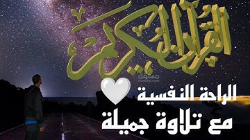 القرآن الكريم آيات من الذكر الحكيم