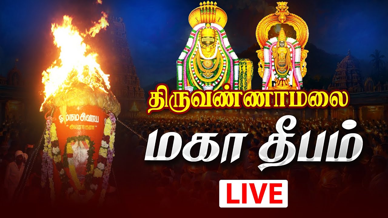 🔴 Live : Tiruvannamalai Temple Live திருவண்ணாமலை மகா தீபம் Thiruvannamalai Maha Deepam LIVE Today