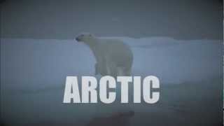 Save The Arctic Save The Arctic