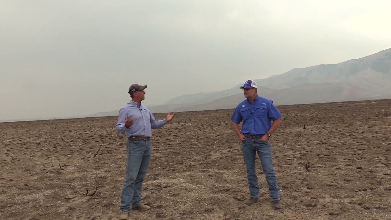 Restoring Rangeland After A Fire: Key Considerations