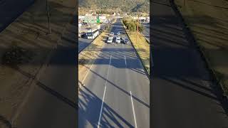 Lady Helping a Dog to Get Away from the Road