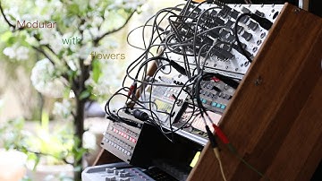 Modular with flowers / Eurorack Ambient // Volca Fm sample Doepfer / Synthesizer//