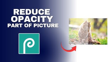 How to Reduce the Opacity of Part of an Picture in Photopea Software