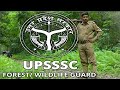 Upsssc forest guard vacancy | Forest guard vacancy 2023 | #forestguard | #forest | #upssscvacancy