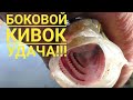 Боковой кивок. Успенское. Москва река. Рыбак Андрей Николаев. Летняя мормышка.