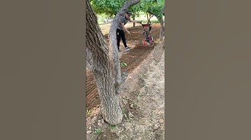 Mini Tiller Machine in Action | Powerful Farming Tool for Easy Soil Preparation part 116