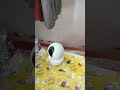 Pemasangan CCTV ipcamera