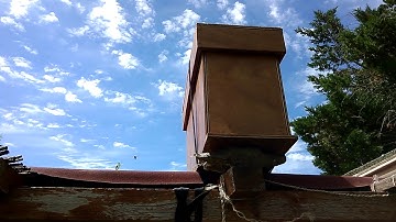 bees checking a swarm trap