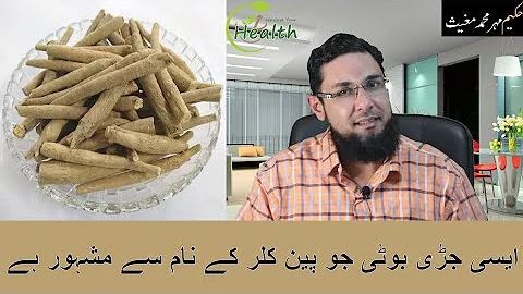 Asgand Nagori Benefits In Urdu Asgand Nagori Benefits In Urdu