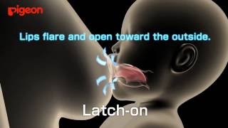 3D Computer Graphic Of Latch-Onenglish2016.8Ver