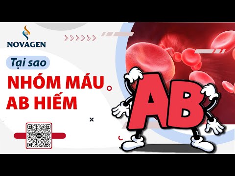 Nhóm Máu Ab Rh+ - TẠI SAO nhóm máu AB là NHÓM MÁU HIẾM? TS. ĐẶNG TRẦN HOÀNG | Trung tâm ADN NOVAGEN