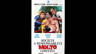 Società a responsabilità molto limitata - Piero Pintucci - 1973