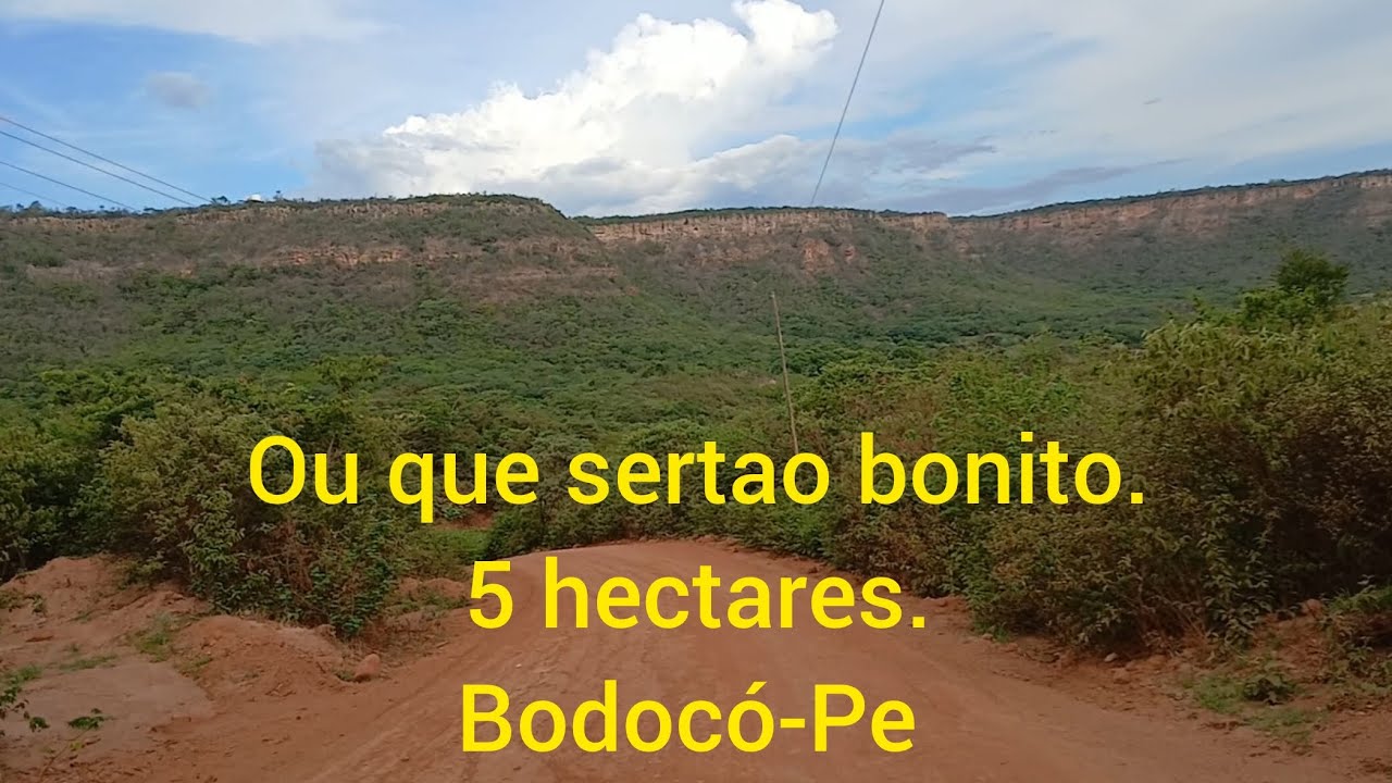 5 hectares á venda. Aqui da um poço e uma moradia boa. 87981363923. Valor 42 mil 