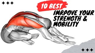 Best Strength and Mobility Exercises For Everyday!