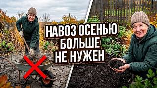 Сделайте ЭТО с почвой осенью! Глина превратится в чернозем БЕЗ ДОРОГОГО НАВОЗА! screenshot 2