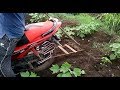 Indian farmers harvest motorcycle grass in cotton crop.