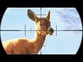 INSANE DEER HUNTING! (The Hunter Call Of The Wild)